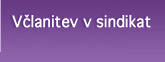 Vlanitev v sindikat