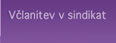 Vlanitev v sindikat